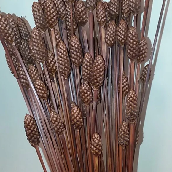 Dried Floral Home Decorating - Picture 4 of 5